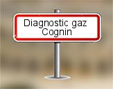 Diagnostic gaz à Cognin
